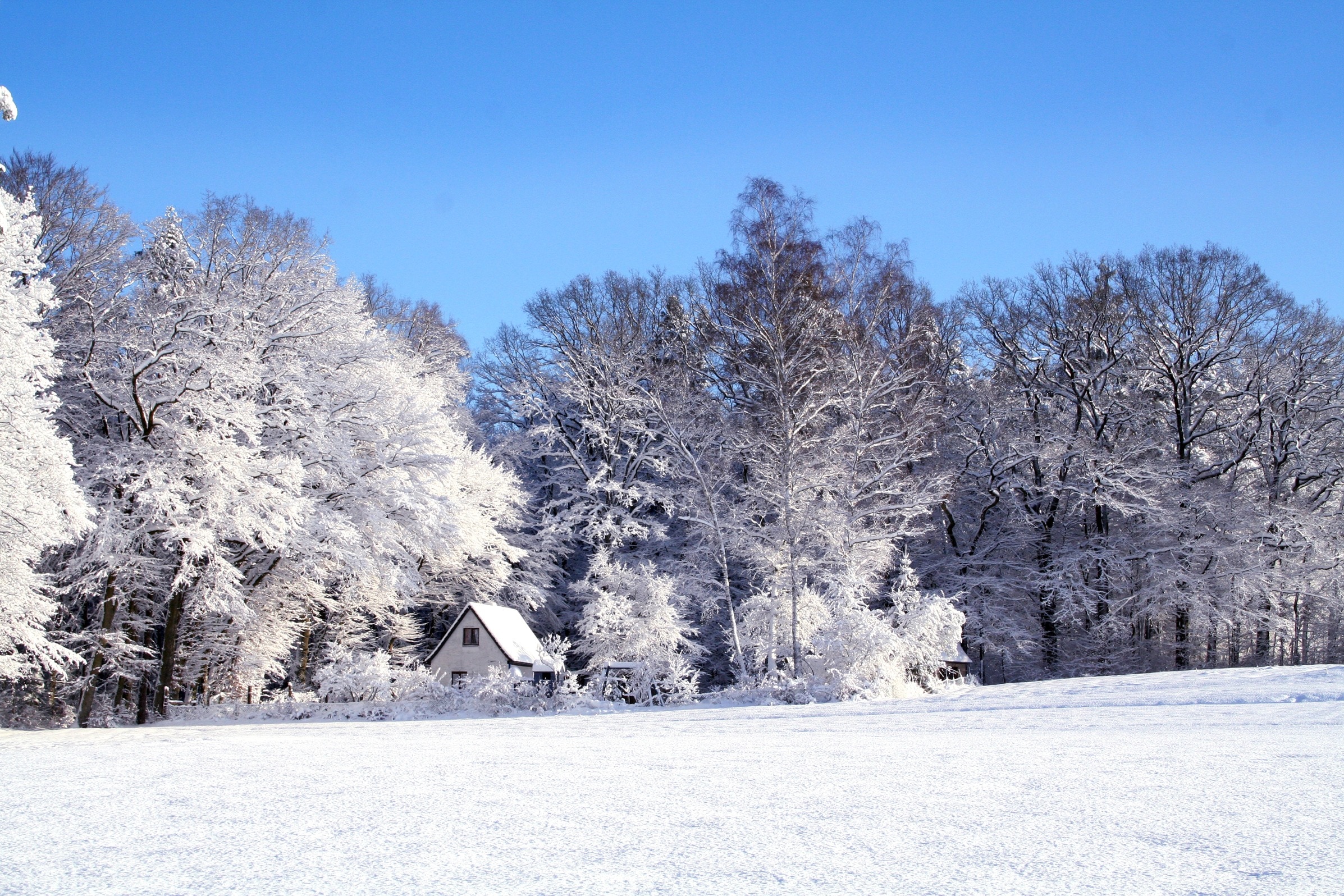 Landscape, Wintry, Snow, Cold, Winter, cold temperature, winter