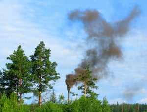 Chimney, Environment Pollution, Smoke, tree, nature thumbnail