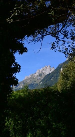 photo of mountains and trees thumbnail
