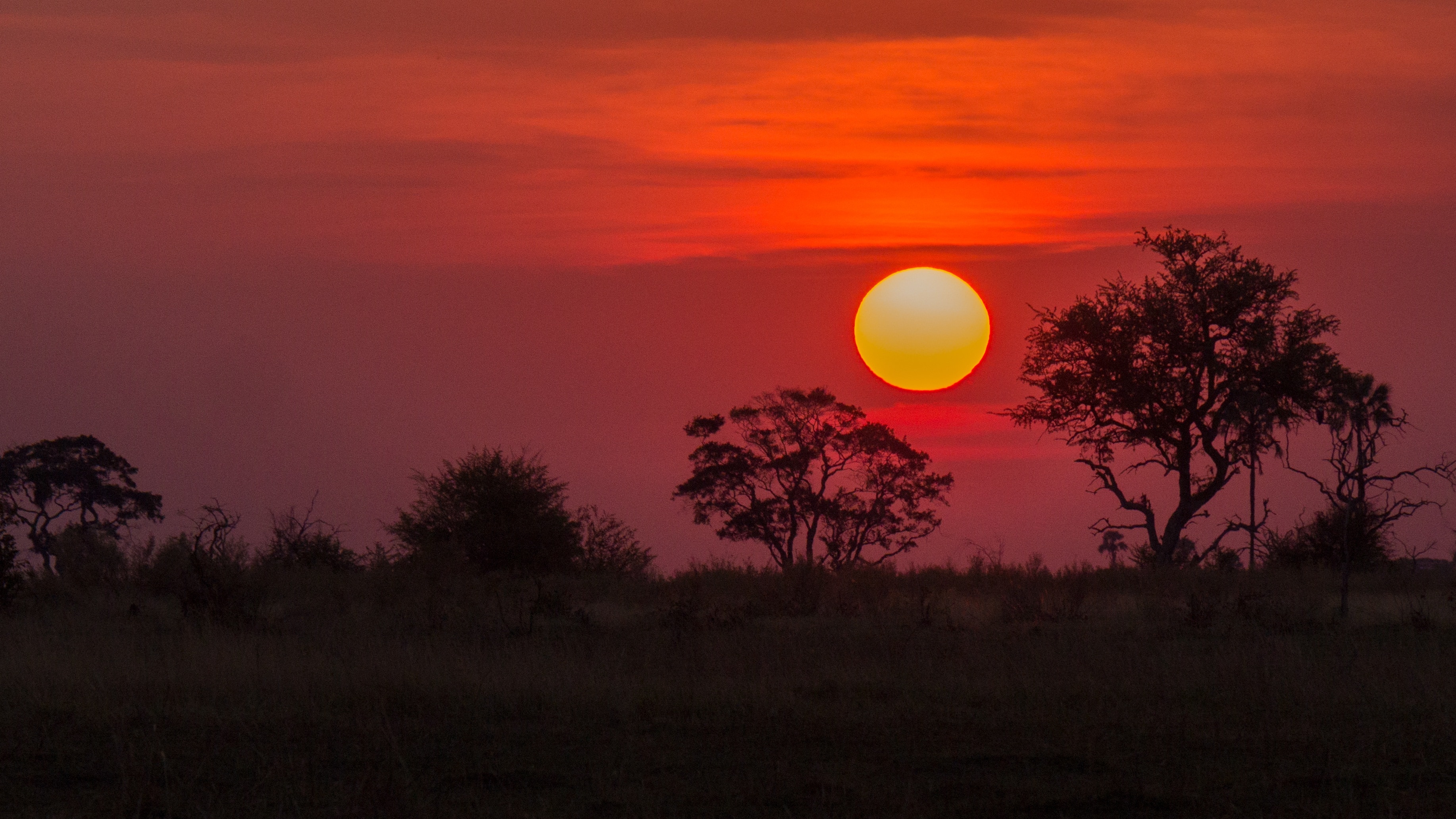 safaris sunset photograph