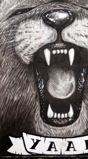 yaam lion roaring illustration thumbnail