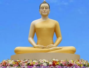 sitting buddha statue thumbnail