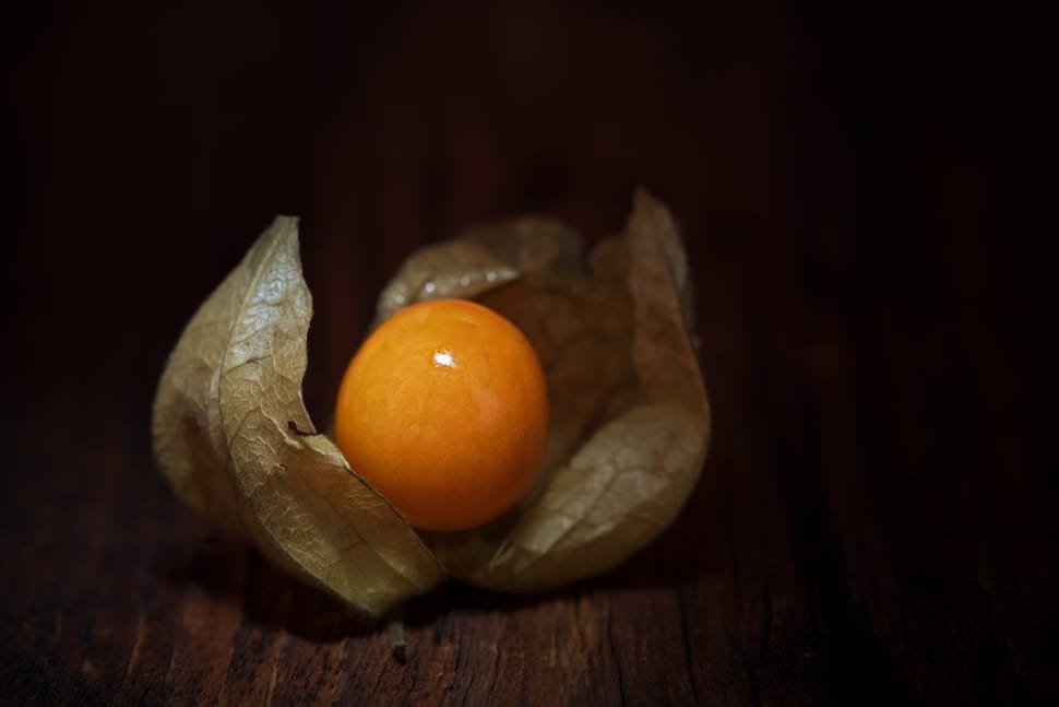 orange egg preview