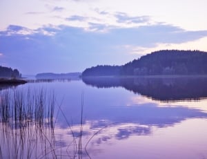 photography of lake during daytime thumbnail