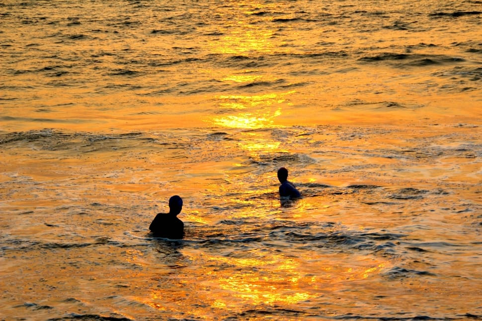two men in body of water during sunset preview