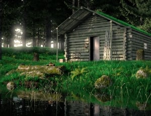gray log cabin shown thumbnail