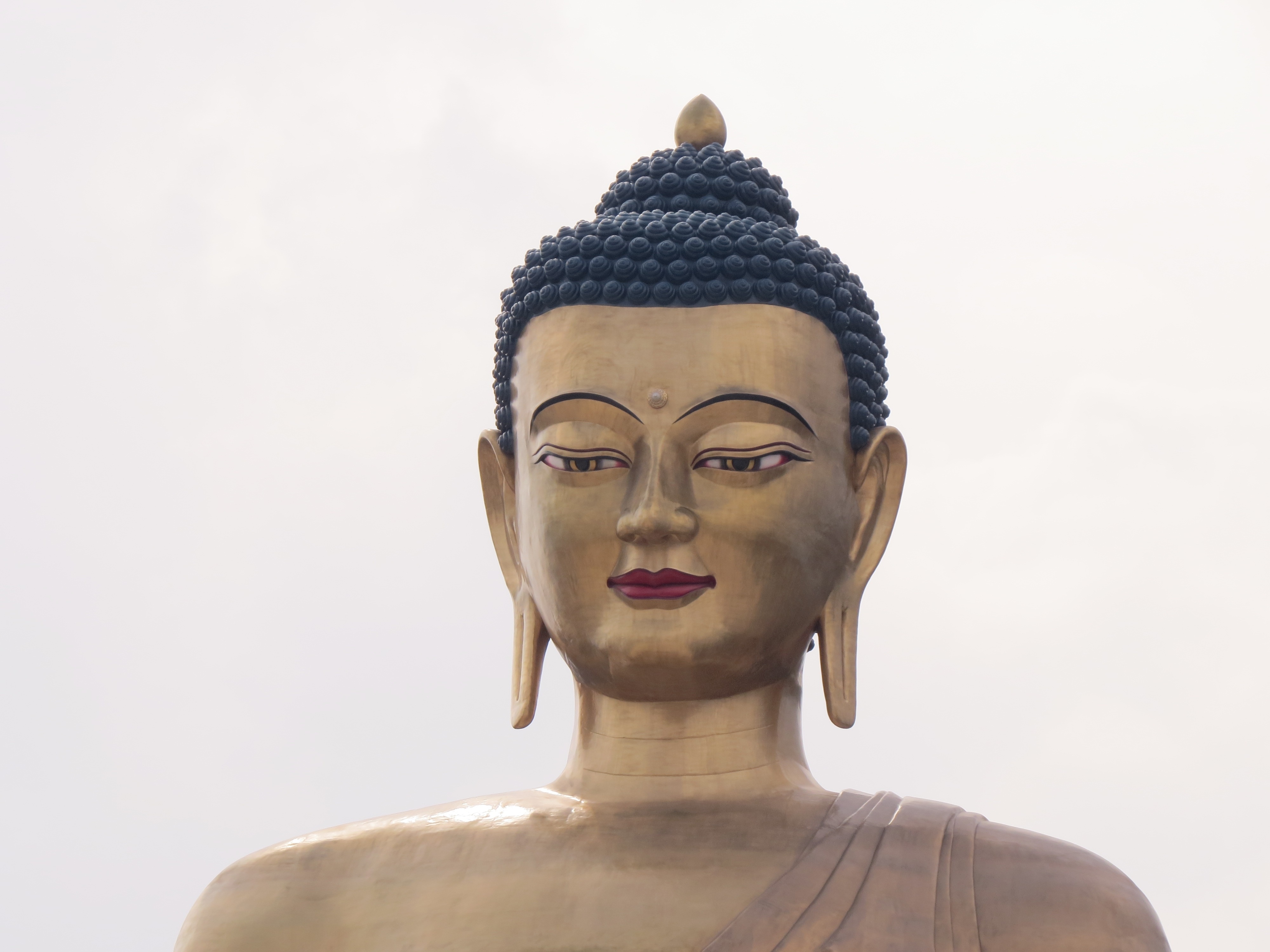 Будда идеи. Будда Шакьямуни портрет. Будда Гаутама. Будда Гаутама Шакьямуни статуя. Будда Шакьямуни статуя Бог.
