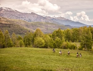 people riding on horse under blue sky and white clouds during daytime thumbnail