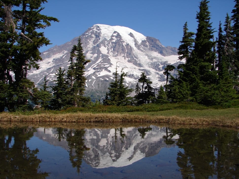Rainier, Mountain, Washington, Mount, mountain, mountain range preview