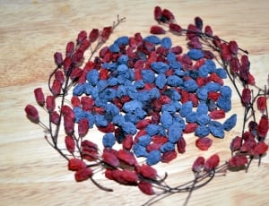 blue and red floral decor thumbnail