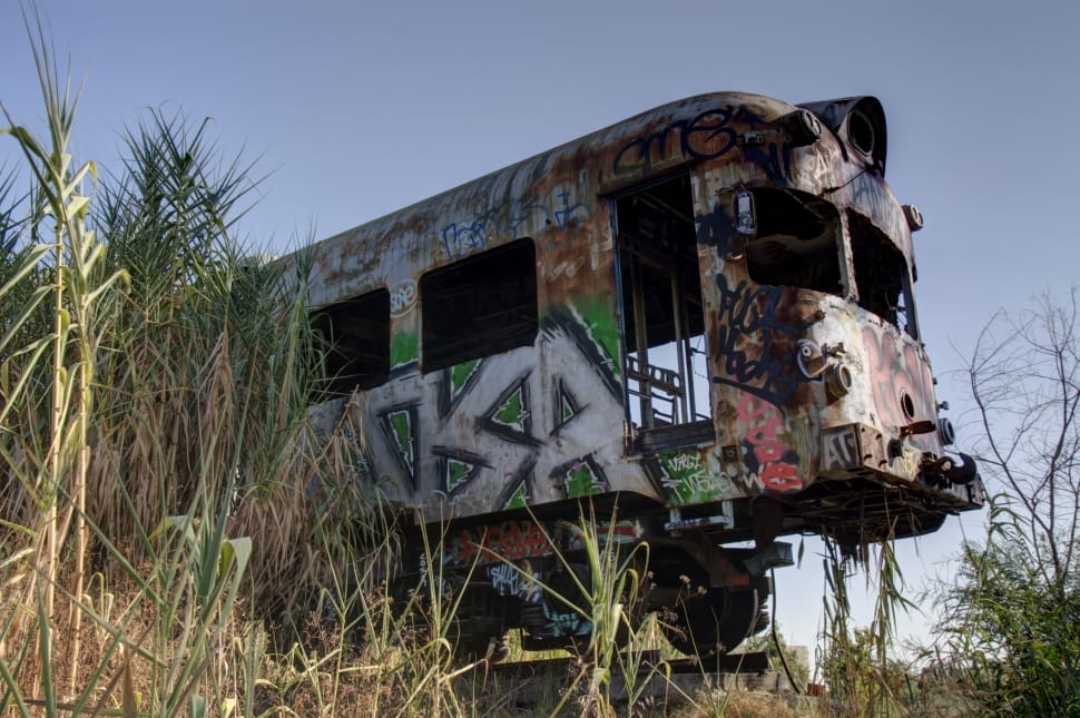 gray, white, and abandoned train with graffiti surrounded with green and beige grass field preview