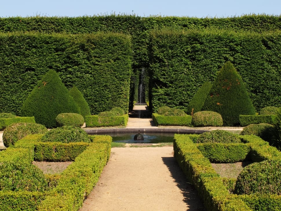 Garden, French, Beech, Boxwood, Castle, green color, topiary preview