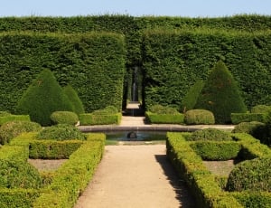 Garden, French, Beech, Boxwood, Castle, green color, topiary thumbnail