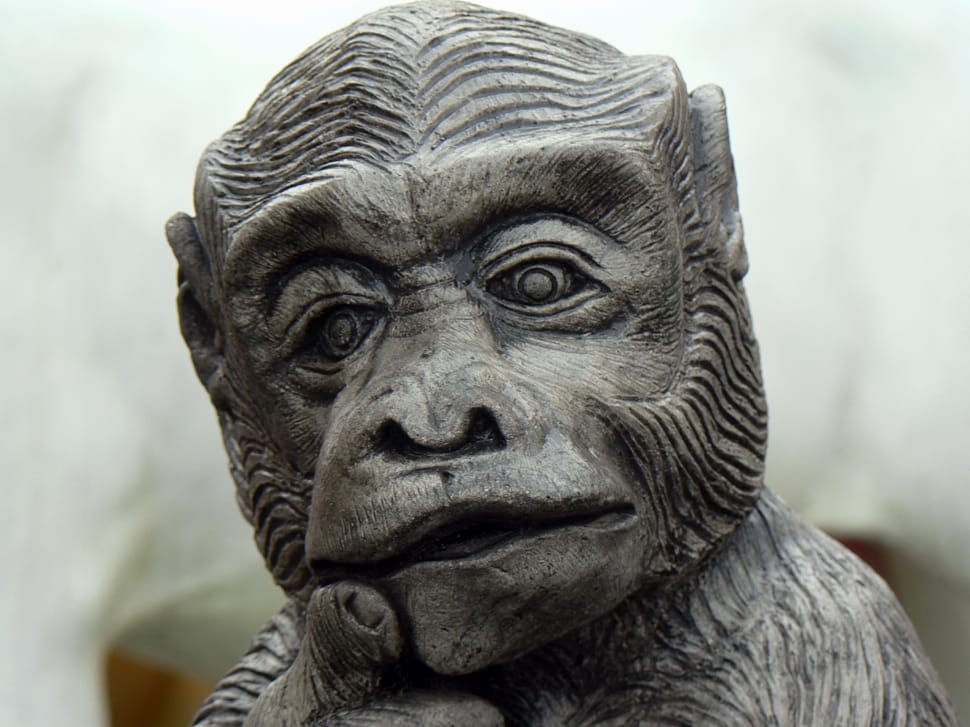 grey monkey carving preview