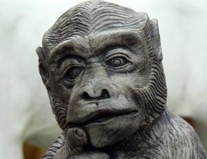grey monkey carving thumbnail