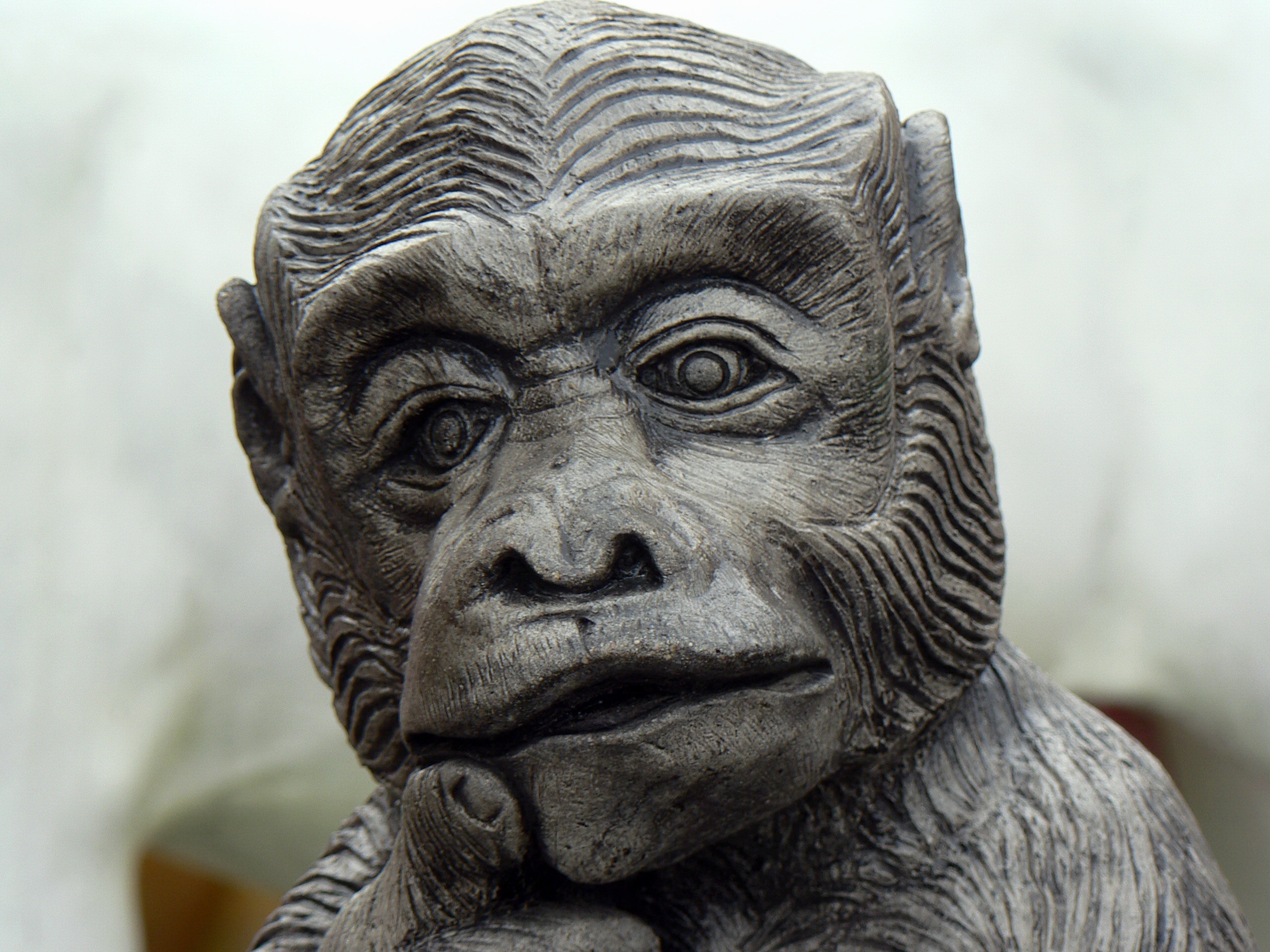 grey monkey carving