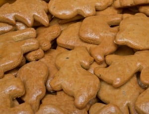 brown animal cookies thumbnail