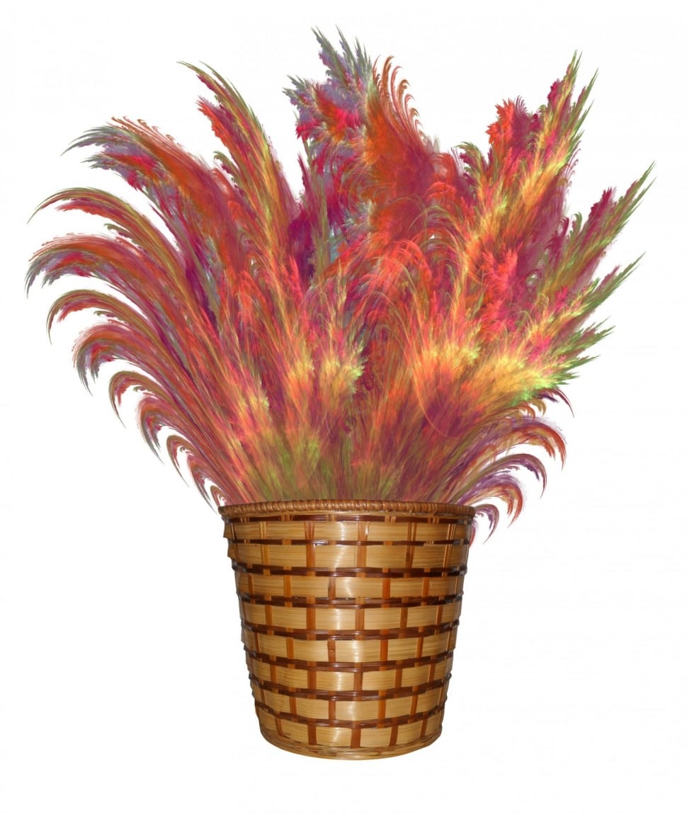Reeds, Fractal, Feather Grass, Feathers, basket, white background preview