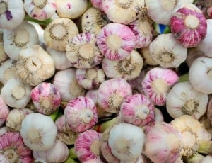 white and purple garlic lot thumbnail
