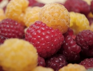 red and yellow raspberry thumbnail