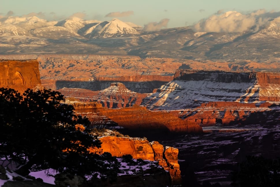 grand canyons preview