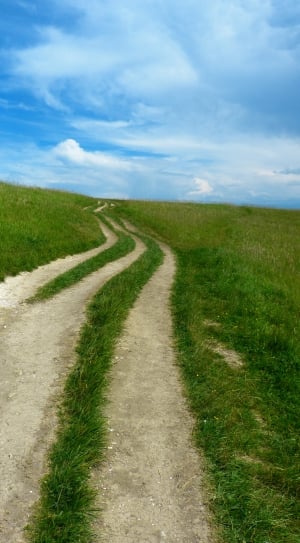 Meadow, Away, Trail, Grass, Nature, Path, the way forward, tranquil scene thumbnail