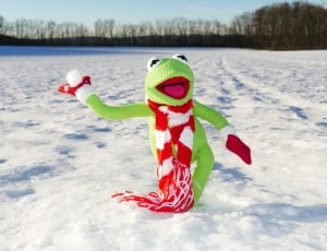green frog plush toy with red and white knit scarf thumbnail