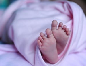 baby covered by pink cloth thumbnail