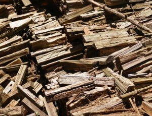 brown wooden firewood lot thumbnail