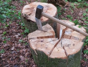 Wood Chop, Wedge, Tree Segments, day, no people thumbnail