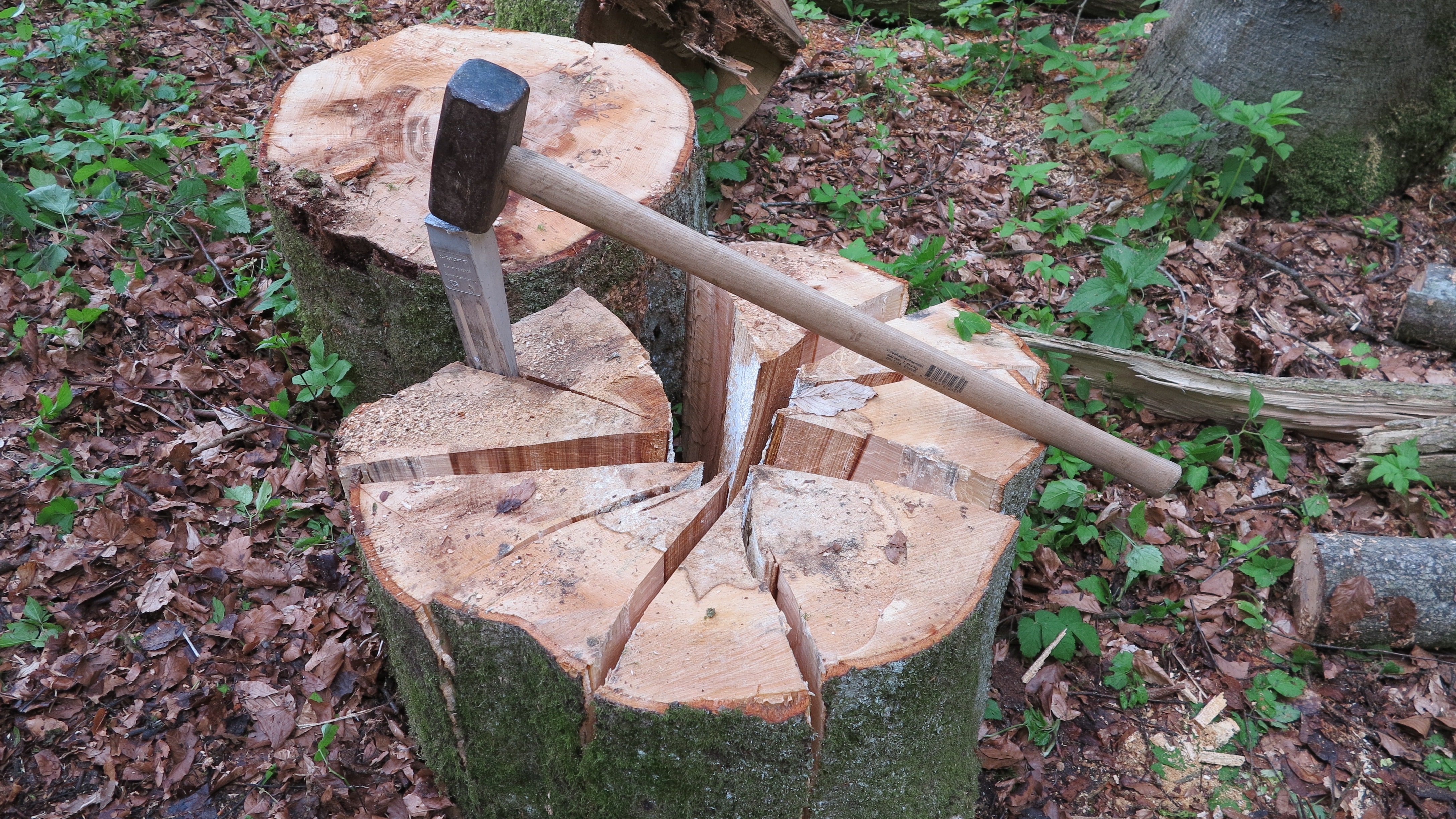 Wood Chop, Wedge, Tree Segments, day, no people