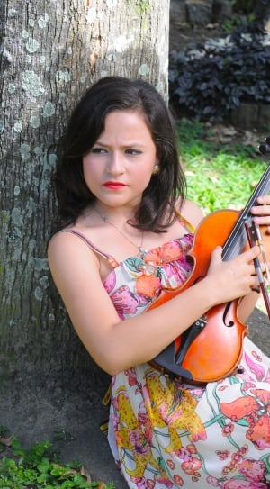 Instrument, Violin, Classical, Violinist, tree trunk, violin thumbnail