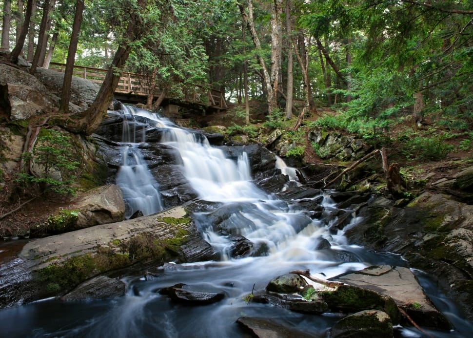 time-lapse photography of water flowing on rocks surrounded with trees at daytime preview