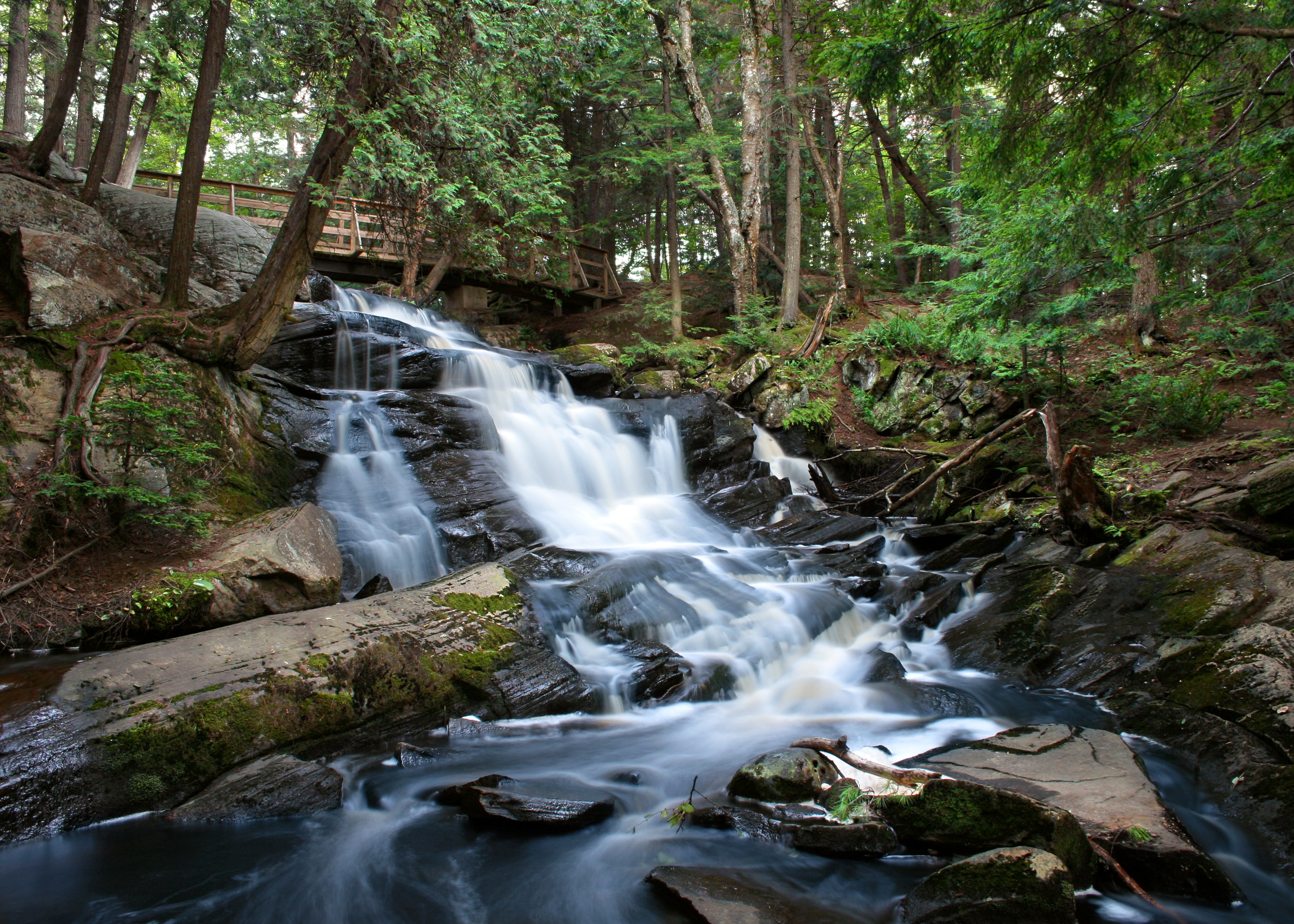 time-lapse photography of water flowing on rocks surrounded with trees at daytime