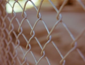 gray wirelink fence thumbnail
