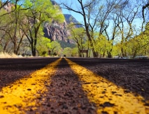 black and yellow line road between green trees thumbnail