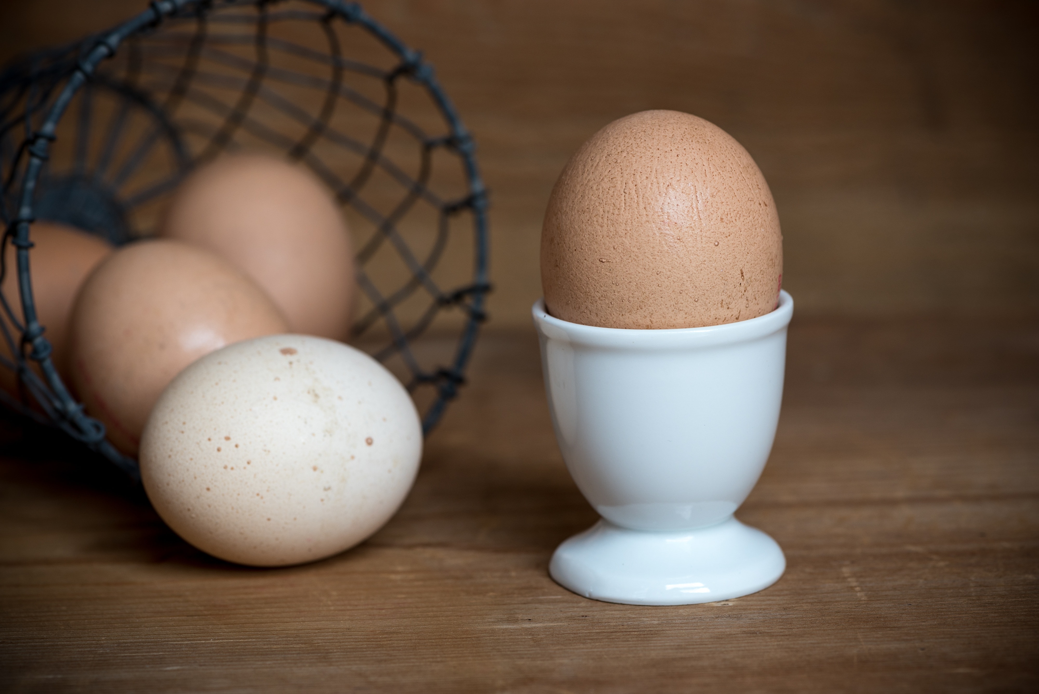 white ceramic egg rack