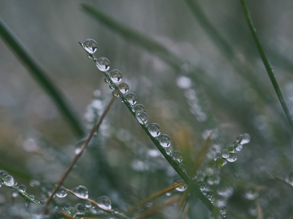 water droplets still photography preview