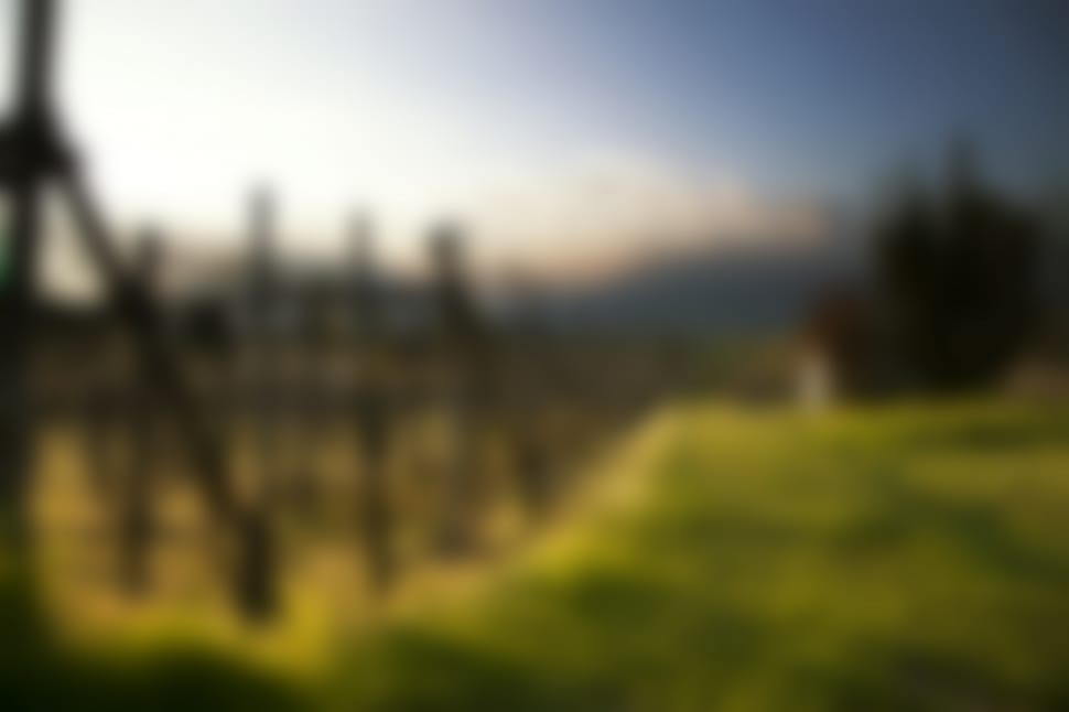 blur, blurred, background preview