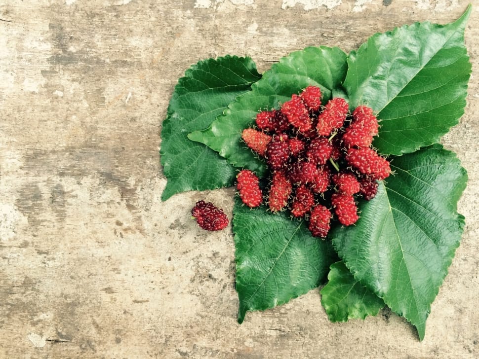 closeup photo of red fruits on green leaves placed at gray concrete floor preview