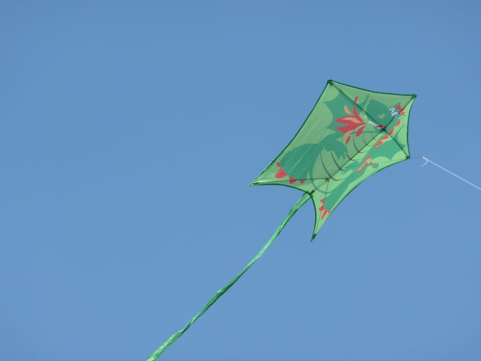 green red and orange dragon print kite preview