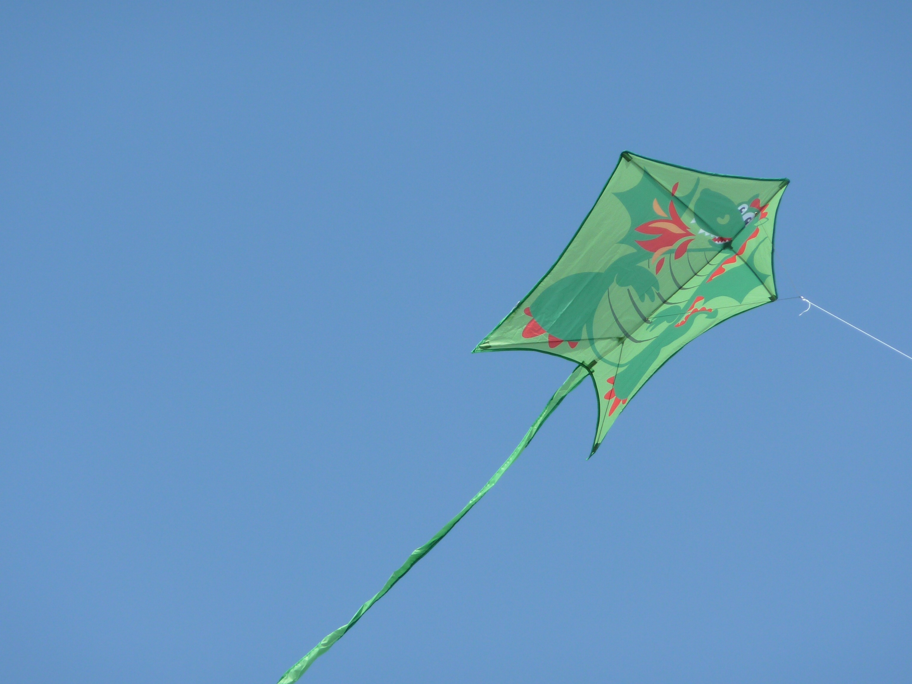 green red and orange dragon print kite