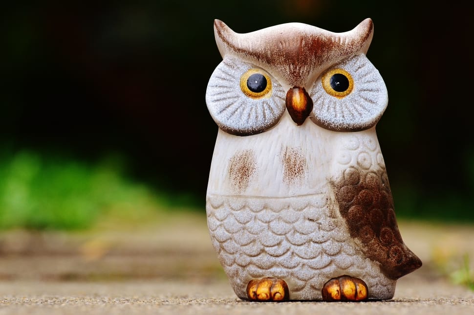 close up photo of ceramic owl figurine preview