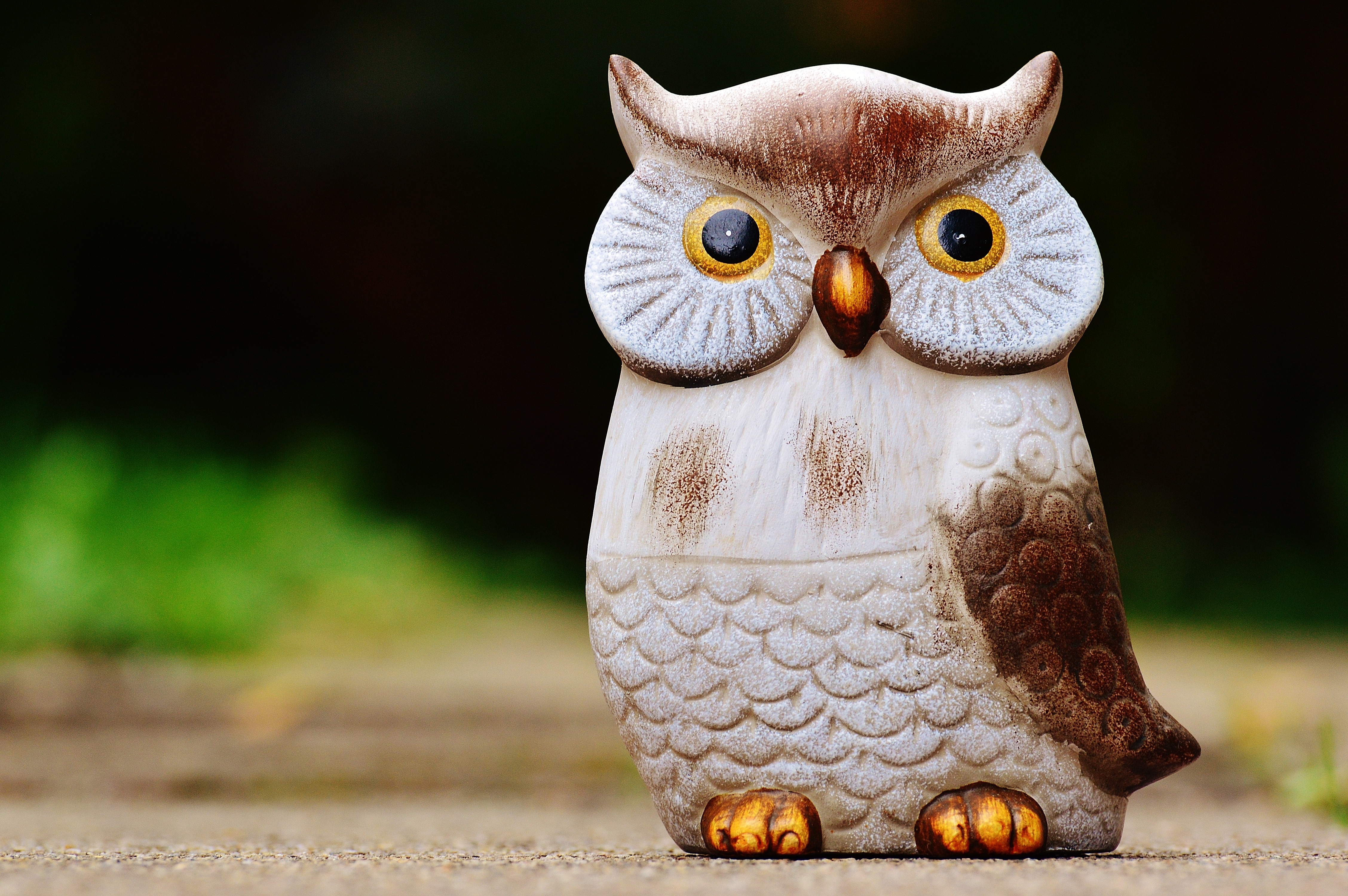 close up photo of ceramic owl figurine