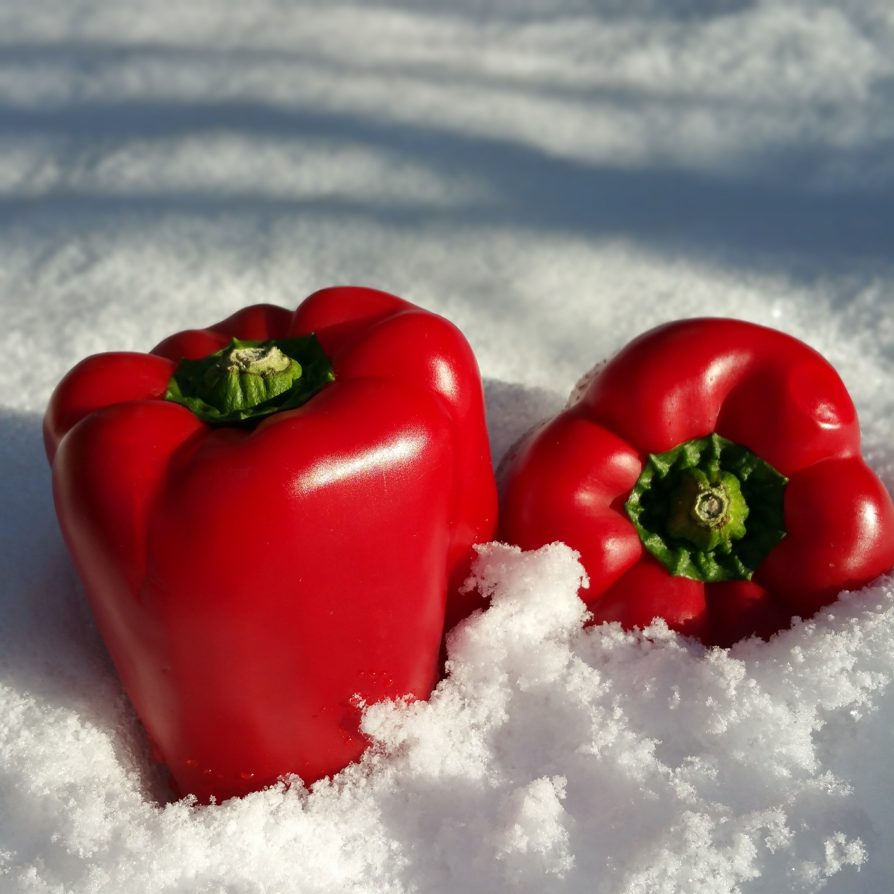 2 red bell pepper