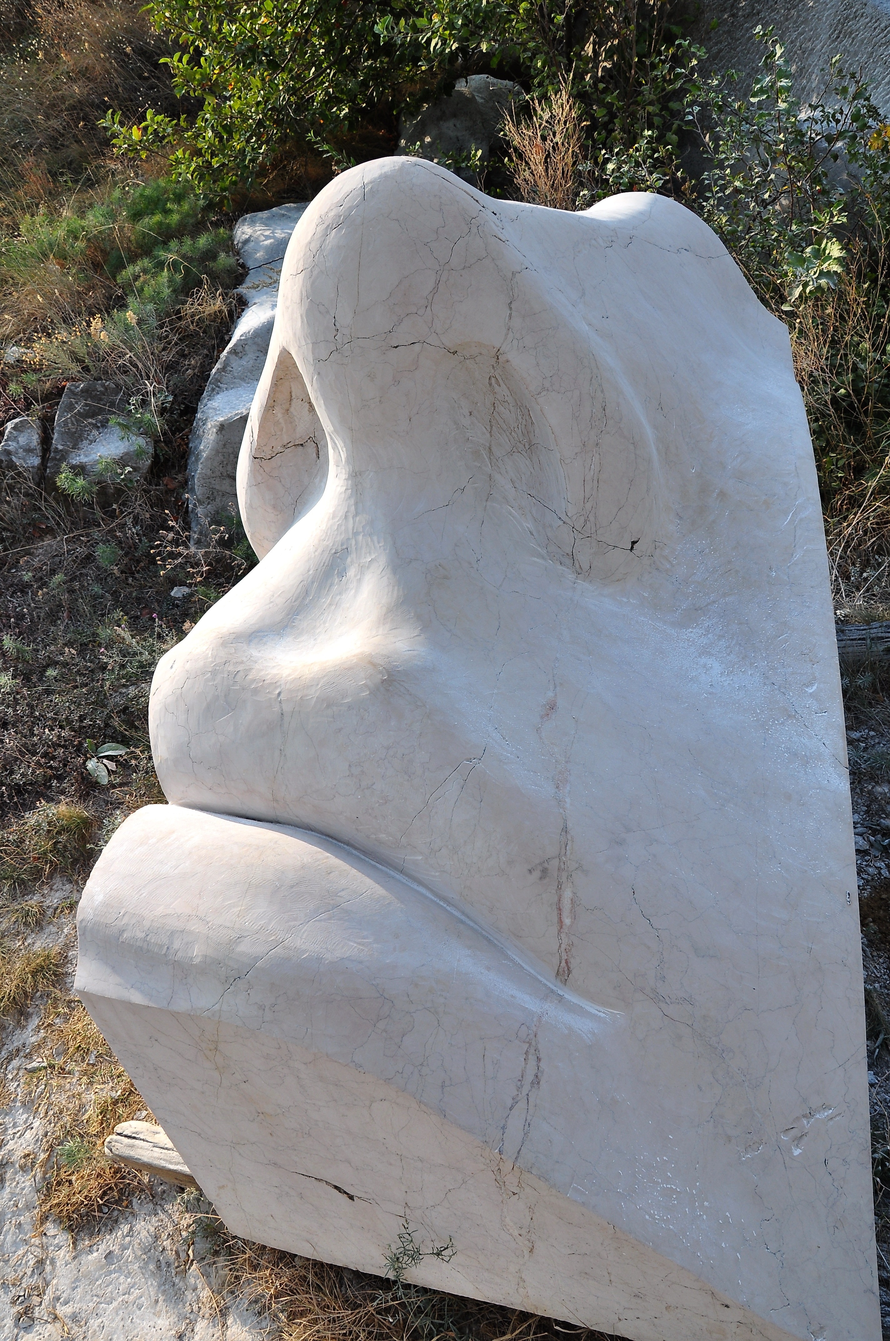 white nose statue