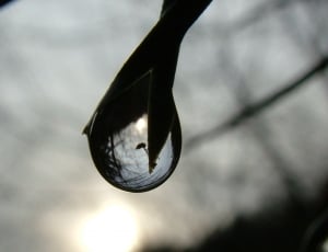 gray scale photo of water drop thumbnail