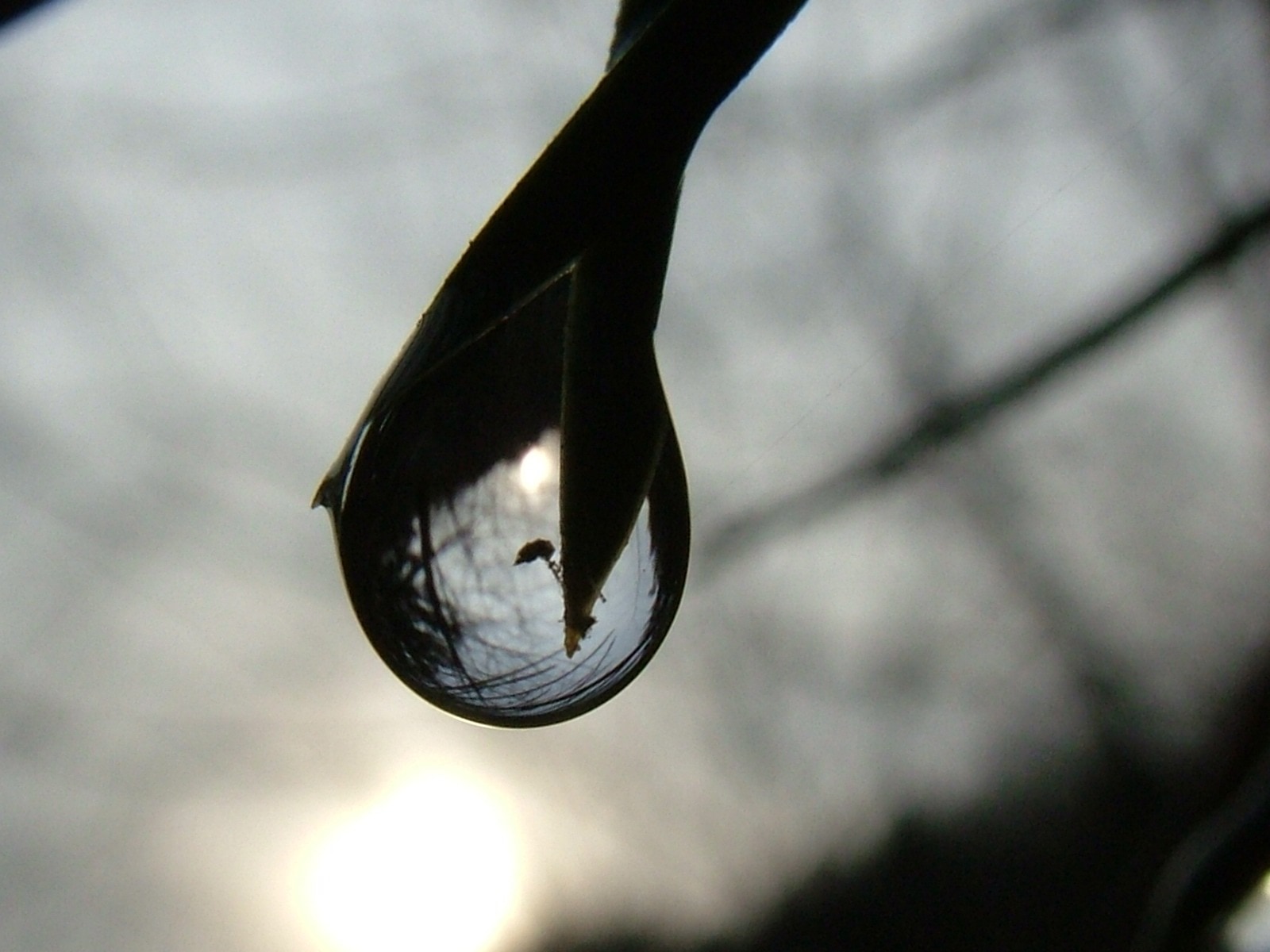 gray scale photo of water drop