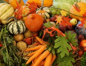 carrots, pumpkin, apples, potatoes and maple leaves thumbnail