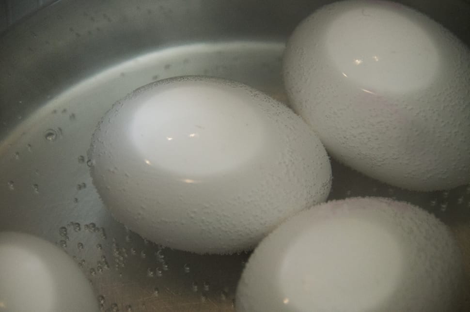 3 chicken eggs preview